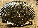 DSCN1440