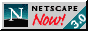 Netscape-Logo